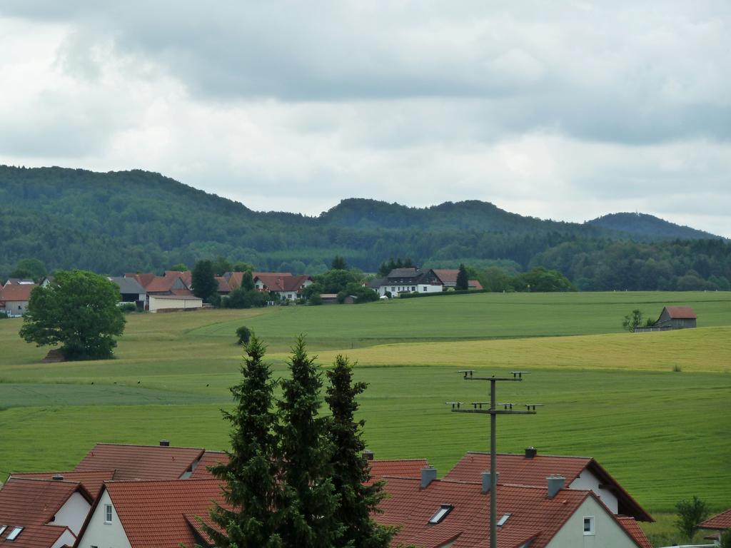 Haus Burgblick Daire Neuhaus an der Pegnitz Dış mekan fotoğraf